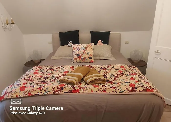 Ferienhaus Maison De Charme A Avec Jardin Clot Et Barbecuea Annebault