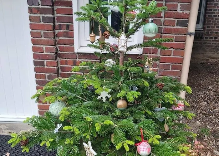 Maison De Charme A Avec Jardin Clot Et Barbecuea Ferienhaus